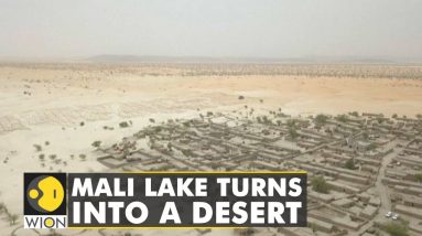 Africa climate crisis: Mali lake began disappearing in the 1970s | WION Climate Tracker
