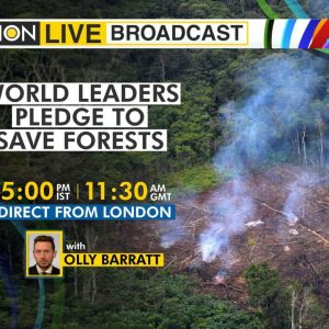 WION Live Broadcast | World leaders pledge to save forests | Multibillion-dollar vow for woodlands