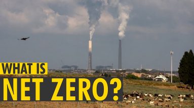 What is 'Net Zero Emission? | COP26 Climate Summit